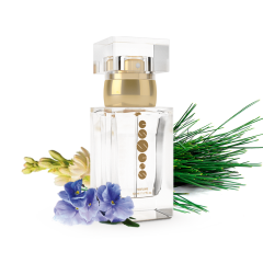 Dámský parfém w105
