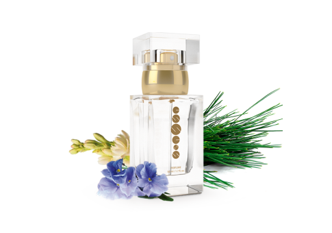 Perfume women w105