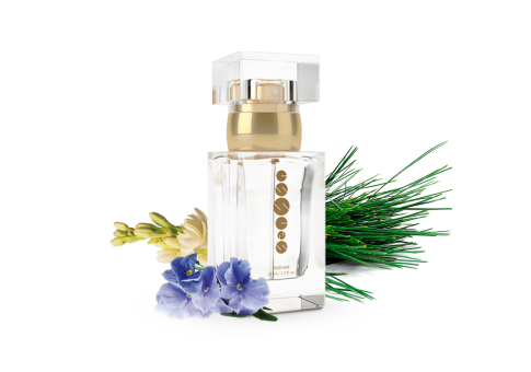 Dámsky parfum w105